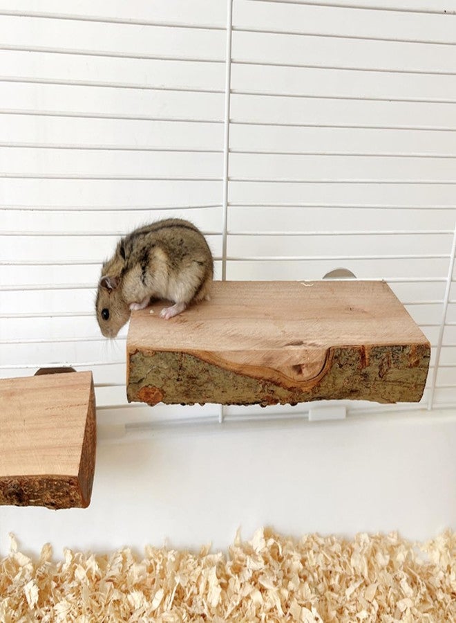 TANOMA Hamster Play Wooden Platform for Cage, Small Pets Animals Toy Platform, Stuff Cage Accessories for Dwarf Syrian Hamsters Gerbils Mice Degus - Image 2